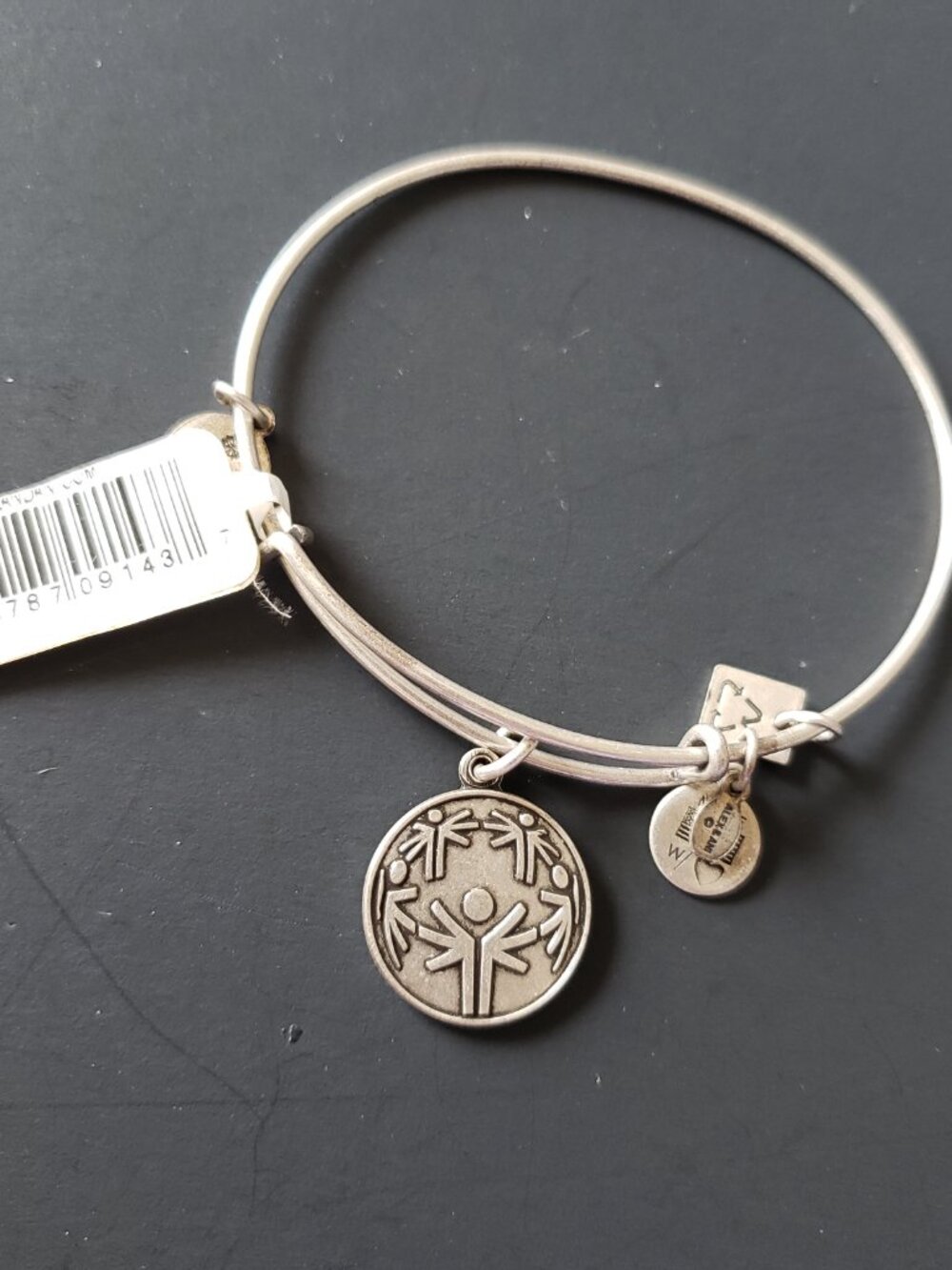 Alex and Ani (+) Energy Power of Unity Bracelet 717